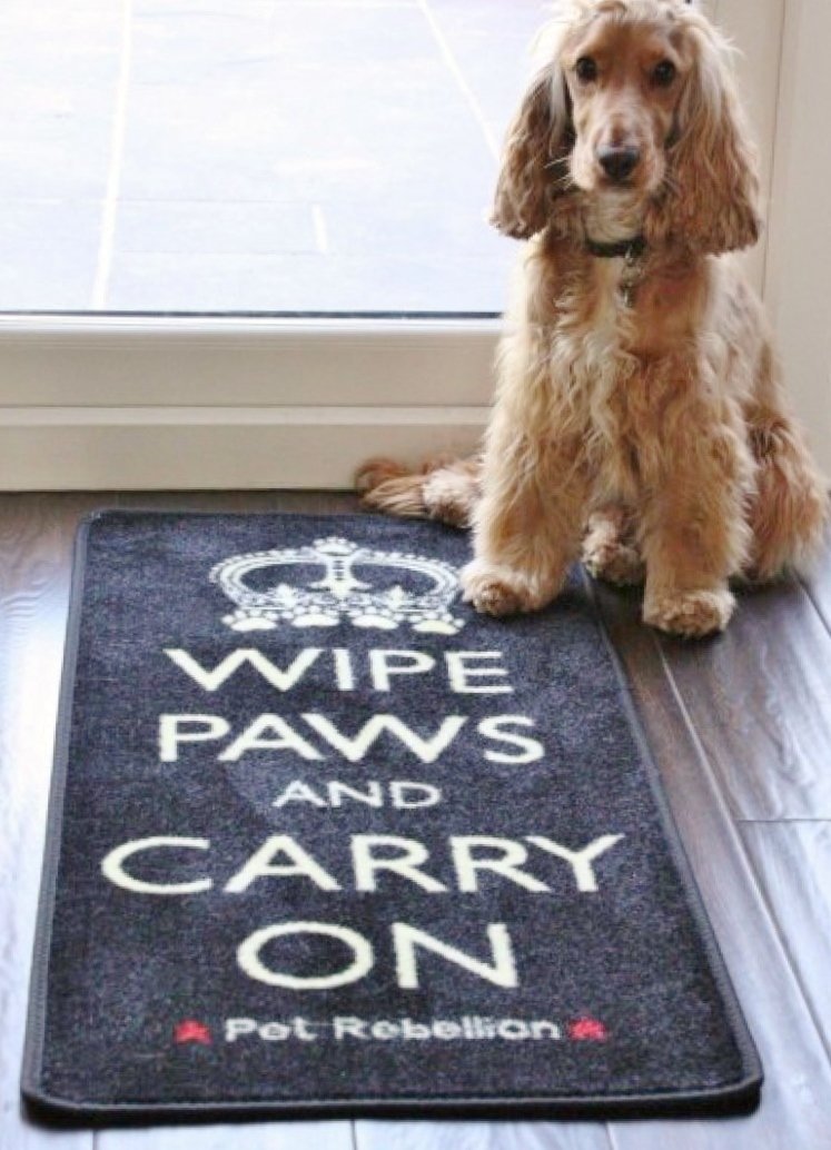 Dog Floor Mat Rug Wipe Paws And Carry On Pawsify