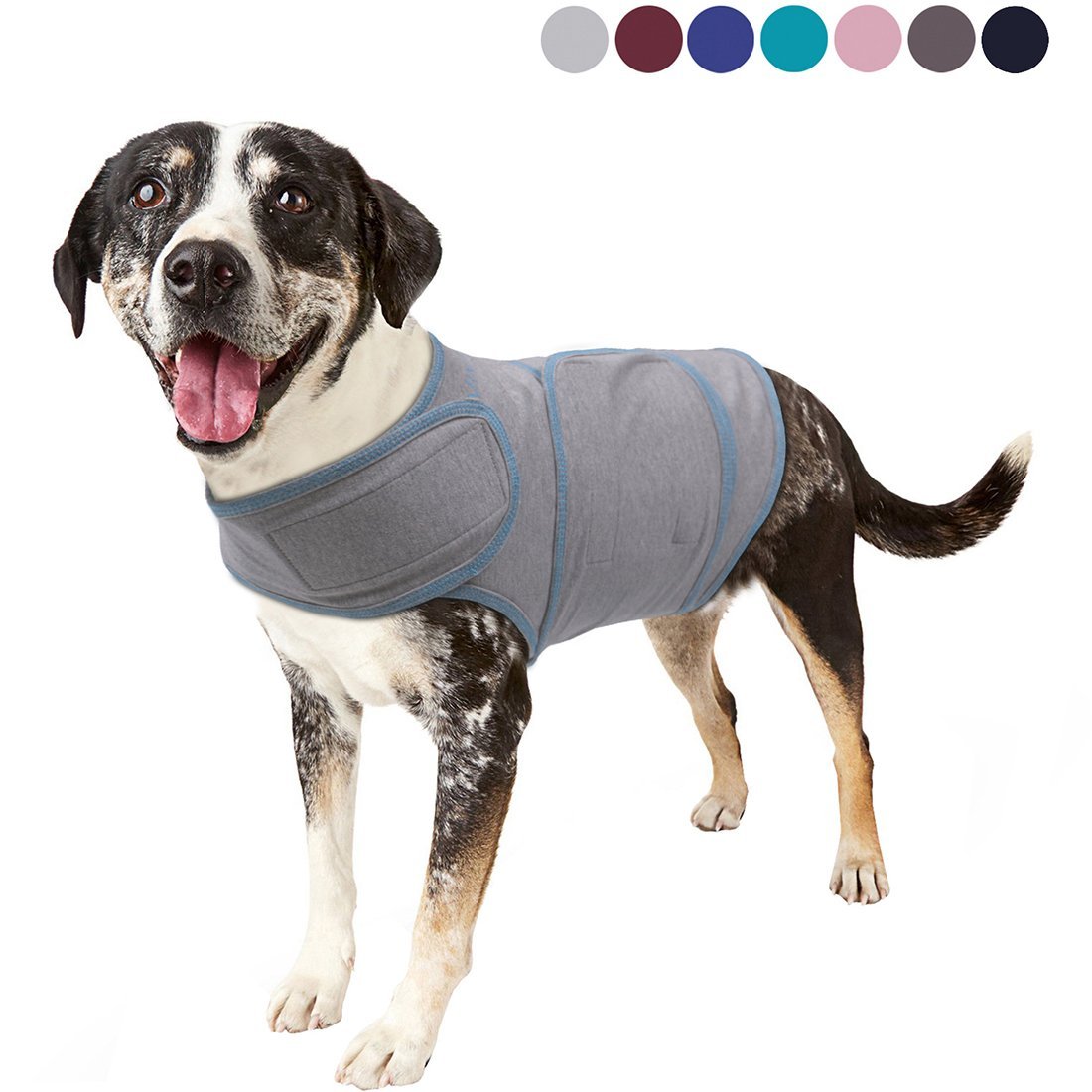 These Anxiety Vests Might Just Help To Calm Your Anxious Dog - Pawsify