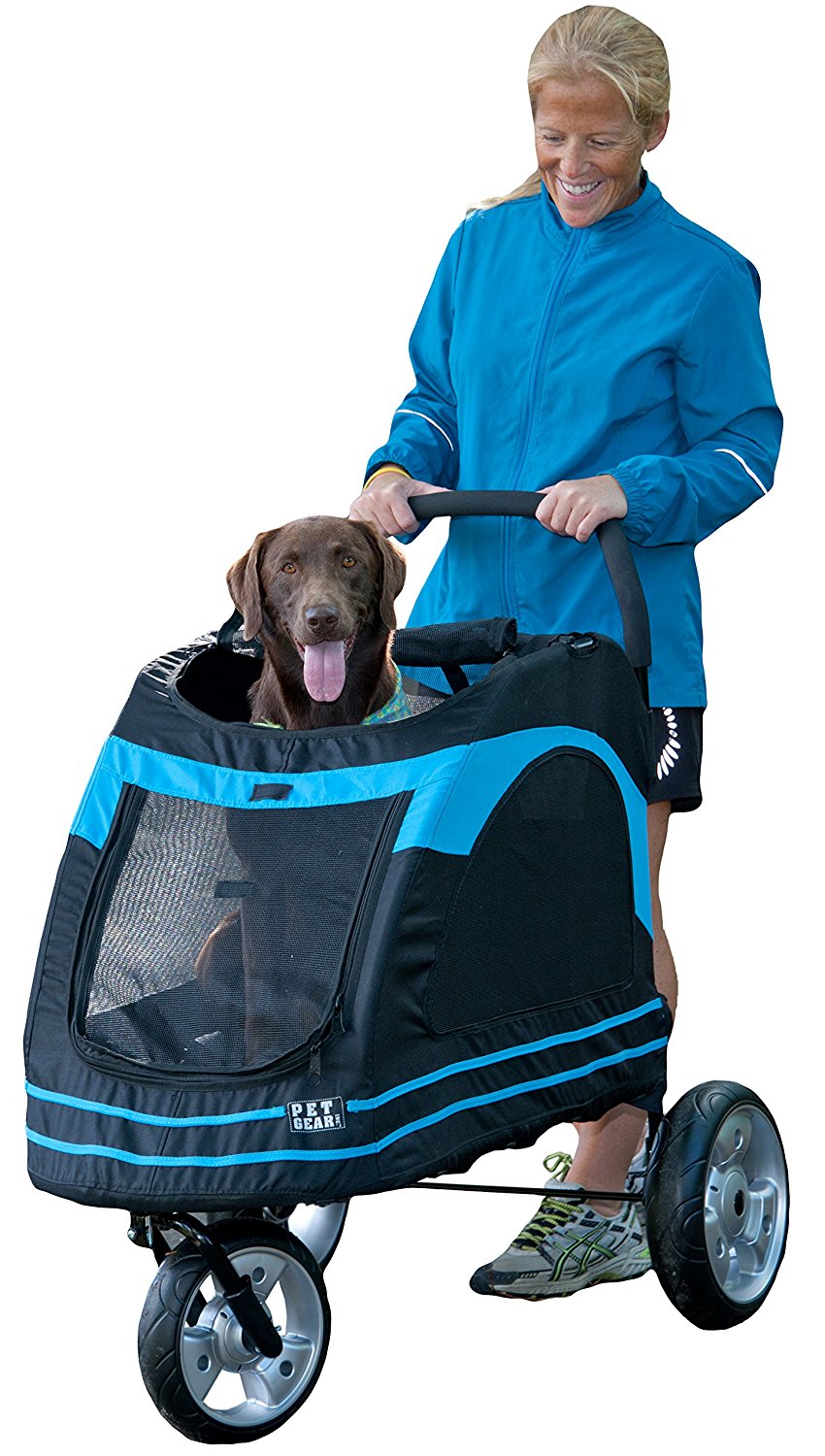 buggies for dogs