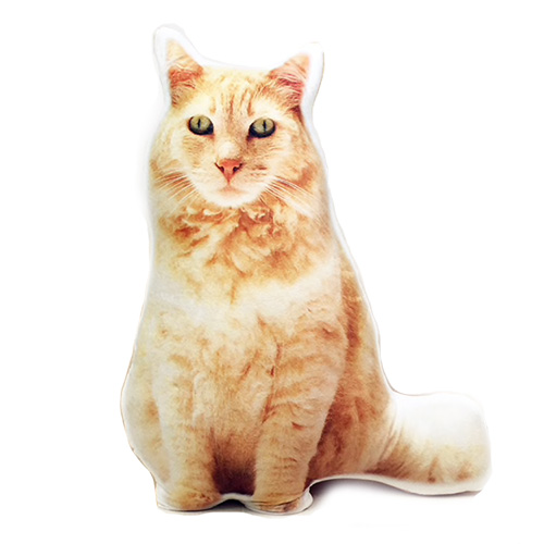 Personalised Cat Shaped Cushion - Pawsify