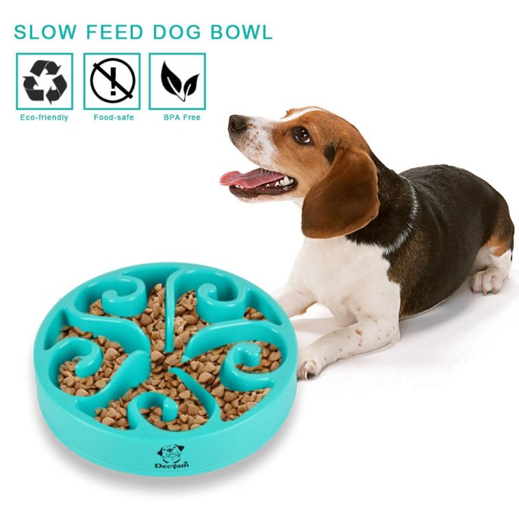 This Dog Bowl Stops Your Dog From Eating Too Fast - Pawsify