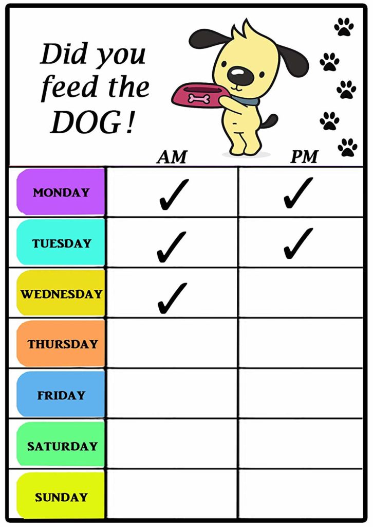 Pet Supplies : DID YOU FEED THE DOG? (Black Pet Feeding Reminder