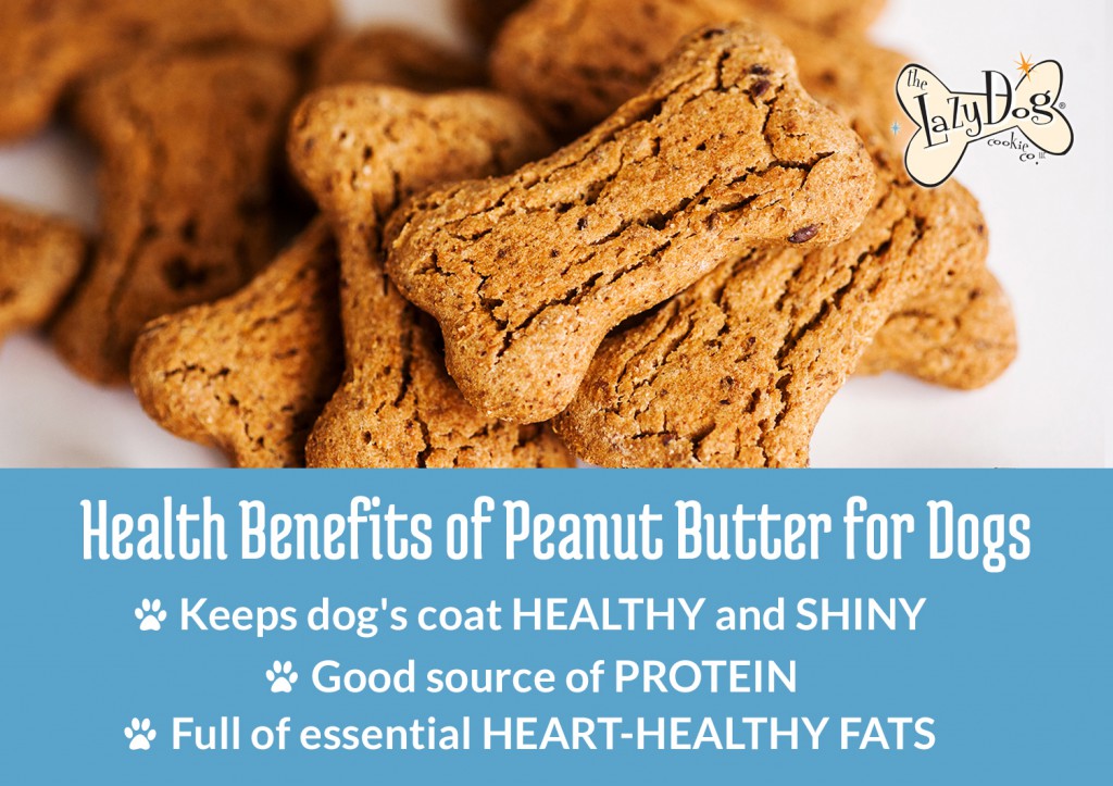 Peanut Butter Benefits For Dogs Pawsify