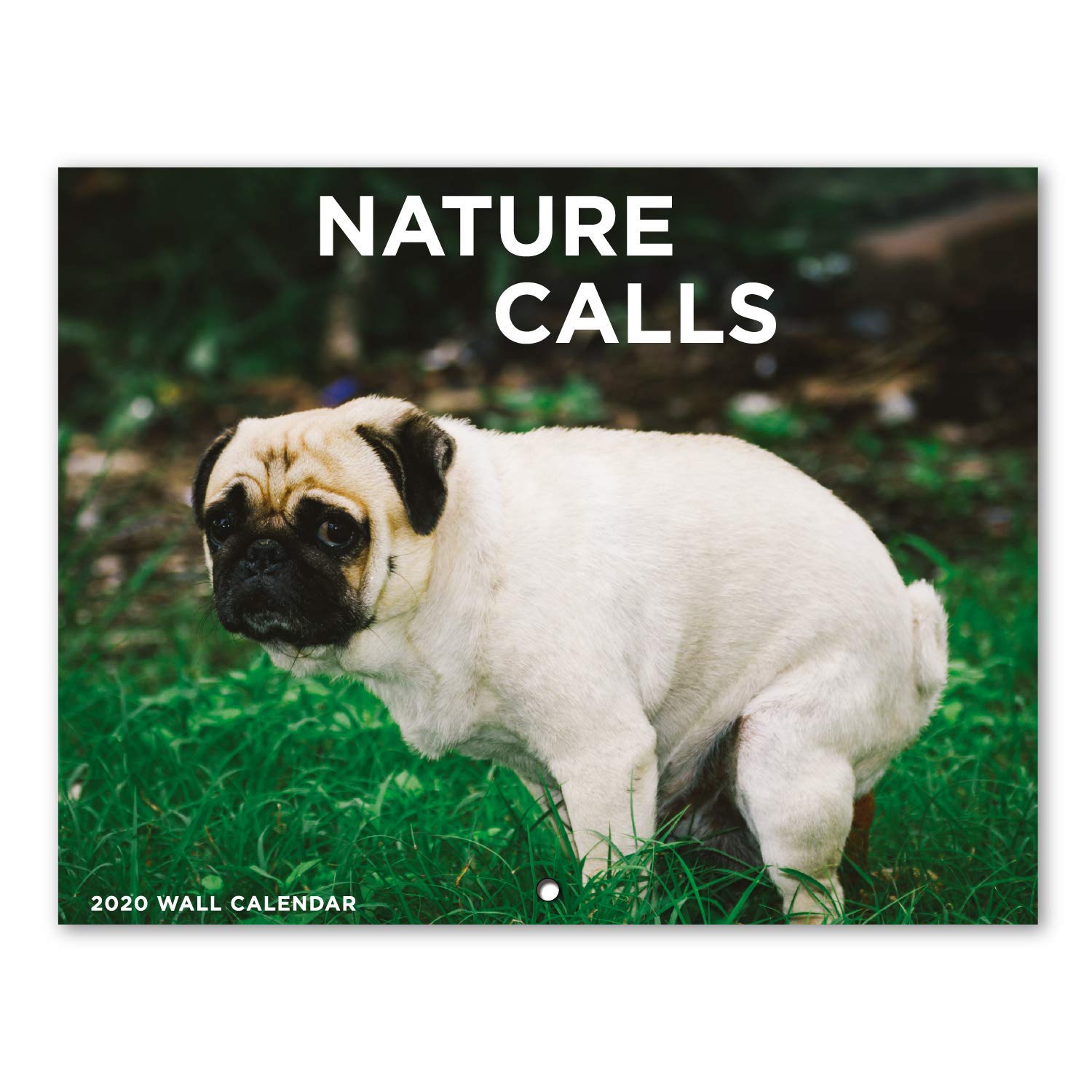 Nature Calls 2020 Wall Calendar Pawsify