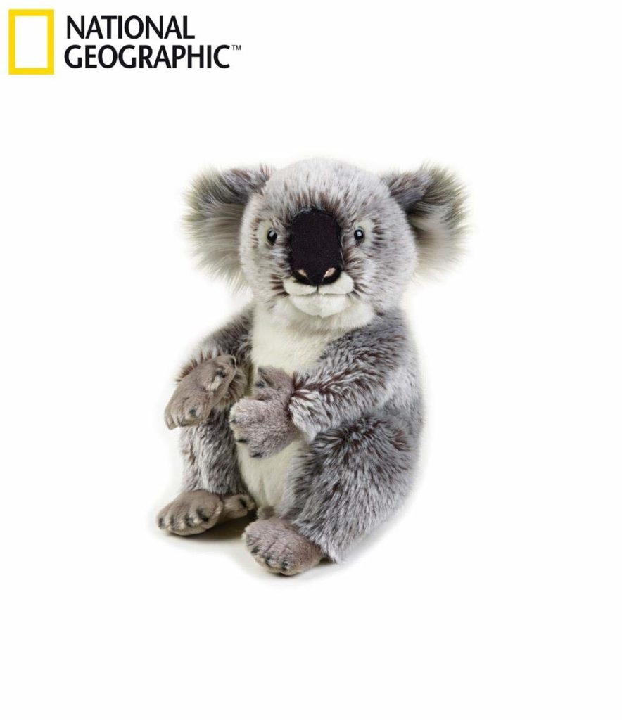 Best Koala Gifts (2024) - Cuteness with a Cause