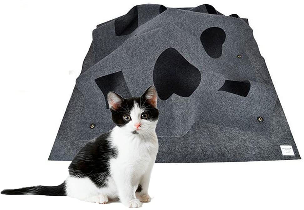 play rug for cats