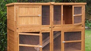 best large rabbit hutch