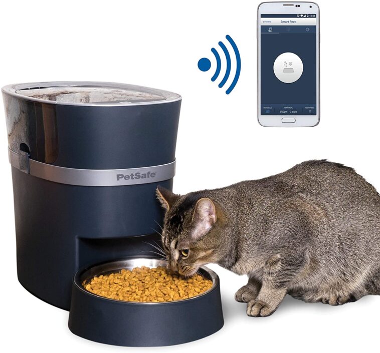 smart auto cat feeder
