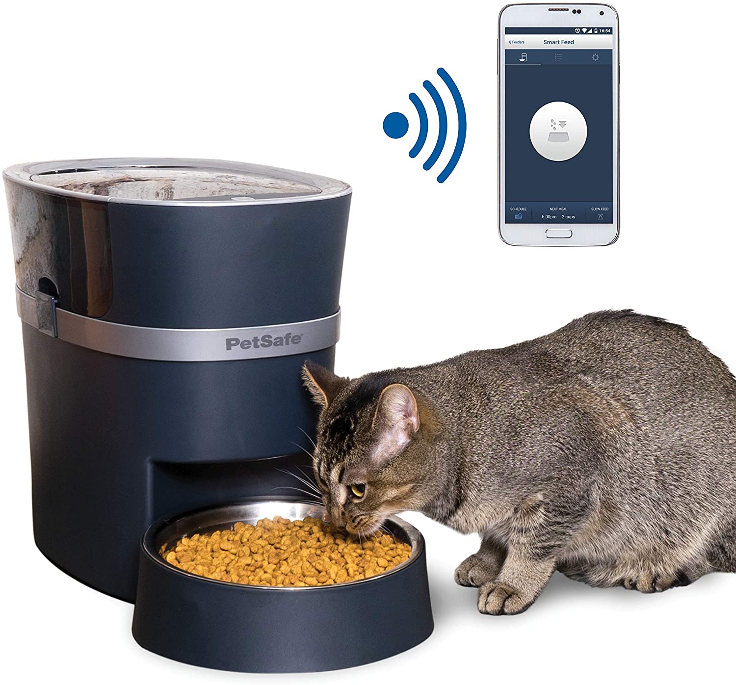 auto cat feeder dry food