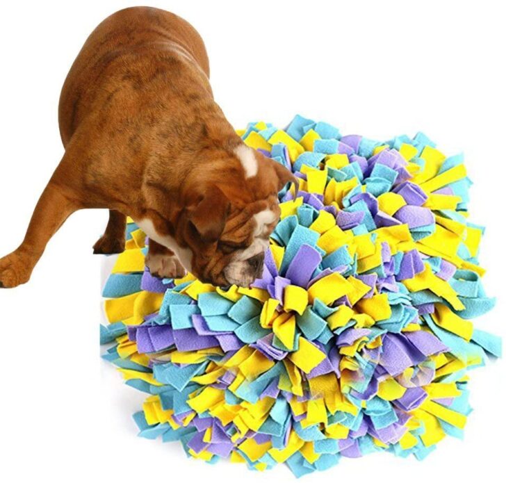 This Snuffle Mat Will Encourage Your Dogs Natural Hunting Instincts
