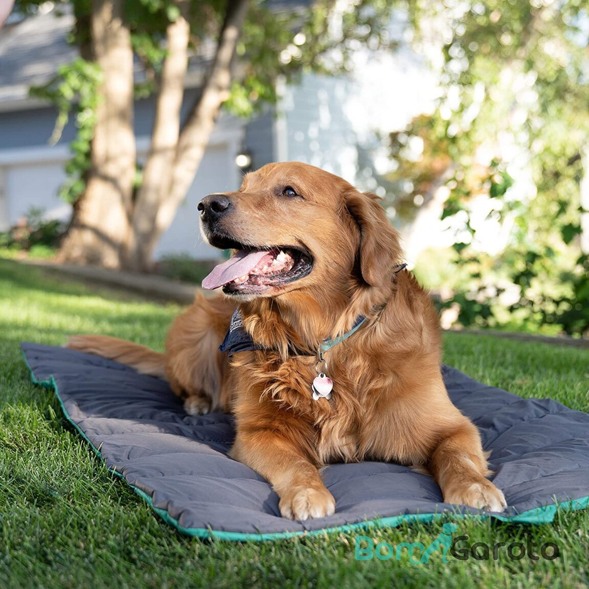 This Portable Dog Mat Is Perfect For Road Trips - Pawsify