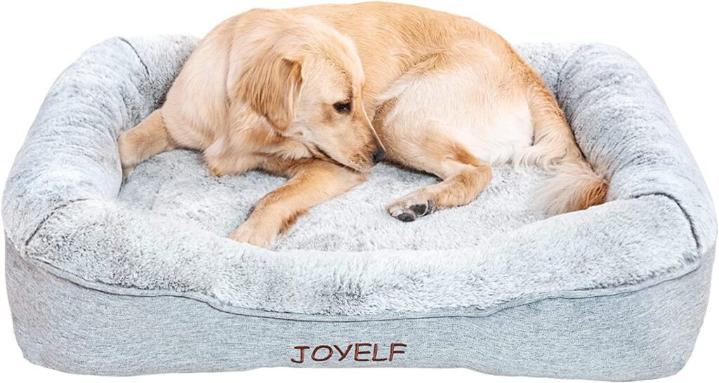 Top 10 Orthopaedic Dog Beds Pawsify